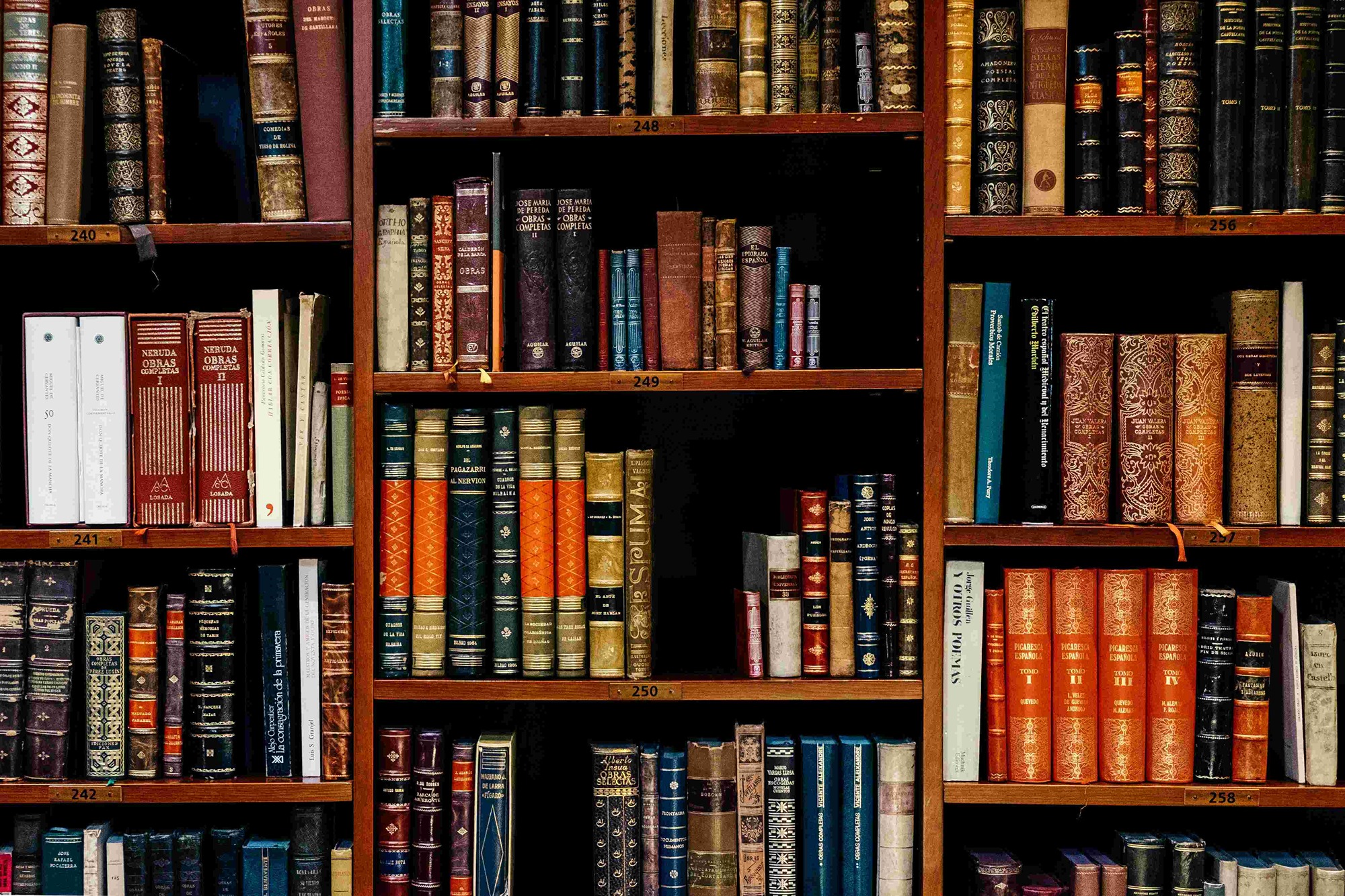 Bookshelves filled with leather-bound books