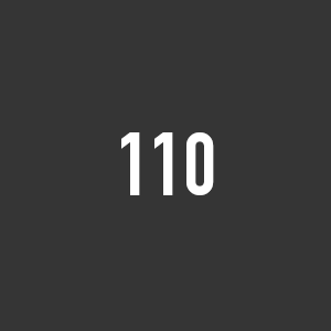 <!-- 004 -->110