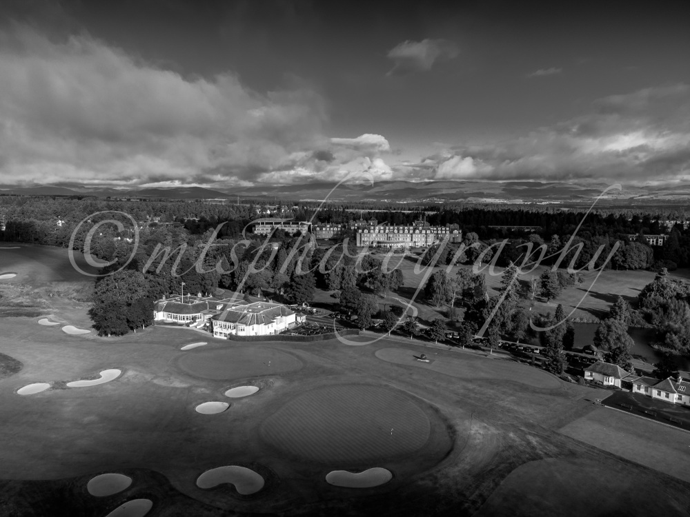 18th of Kings - Black and White