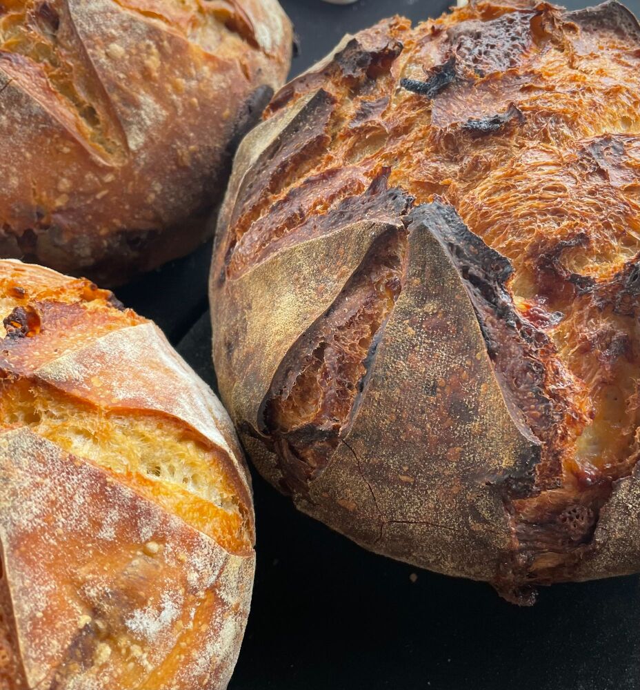 Tellagio and Onion S/D Boule