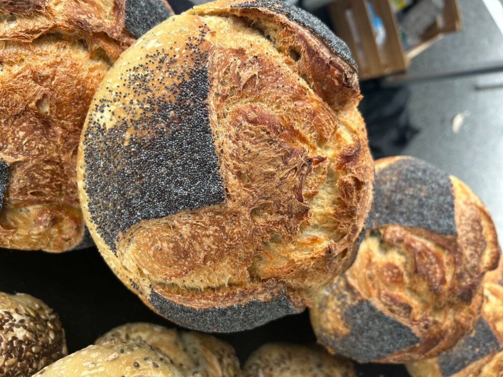 Beer, Honey and Poppy S/D Boule