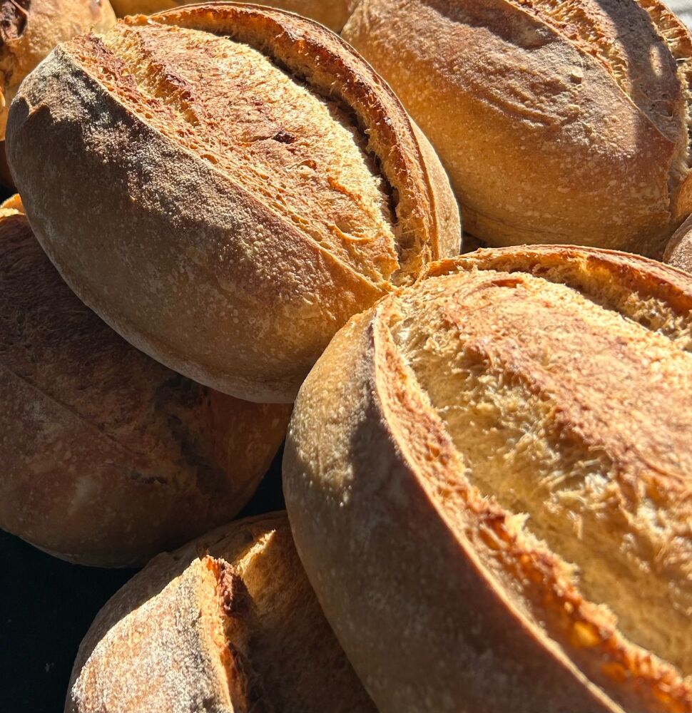 Country Sourdough Loaf