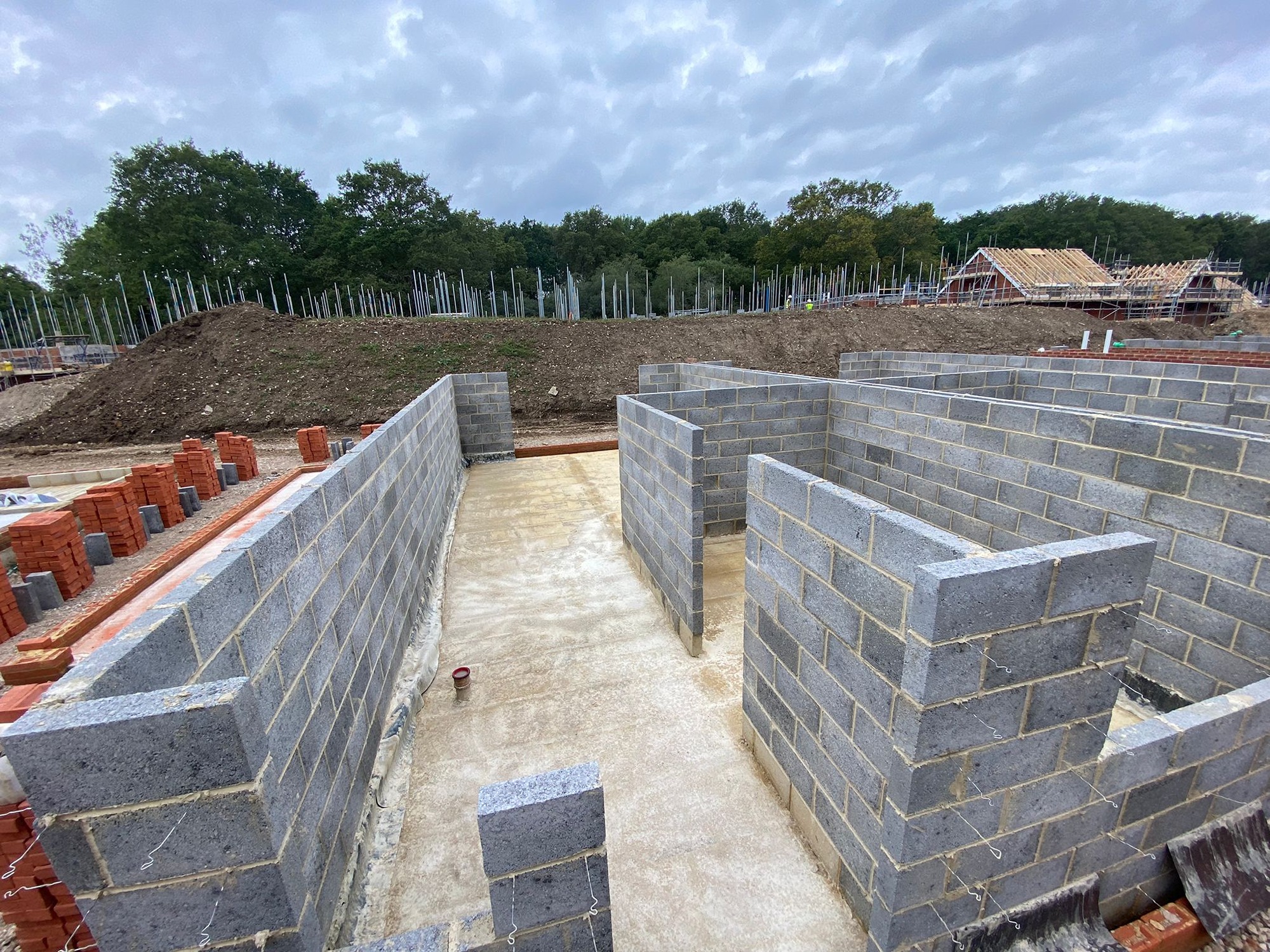 home-about-section-2