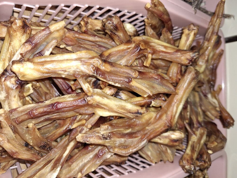 Duck Feet
