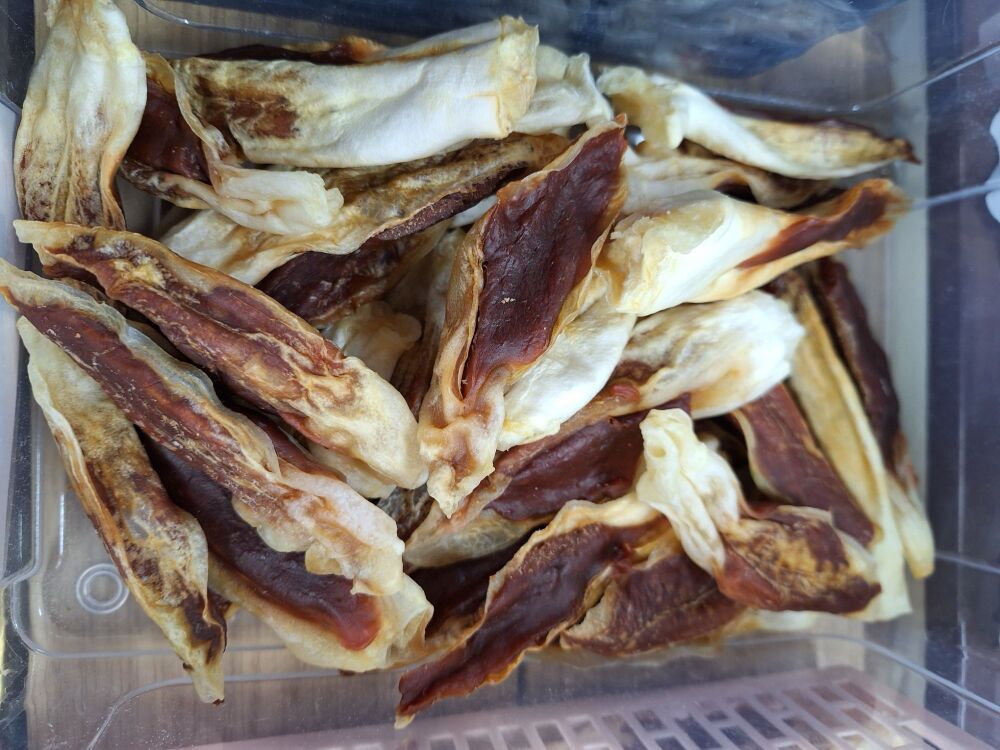 Rabbit Ears with Ostrich