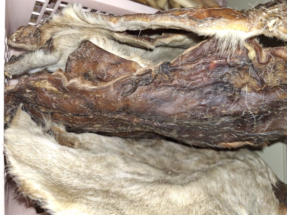 Beef Skin with Hair