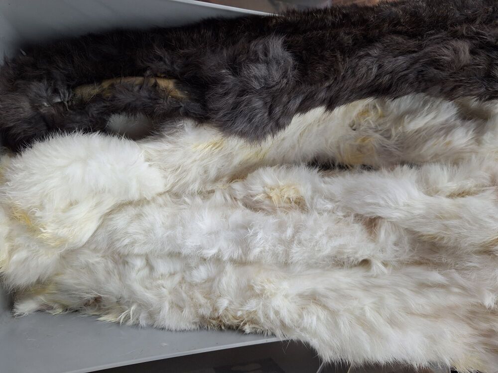 Rabbit Skin with Fur