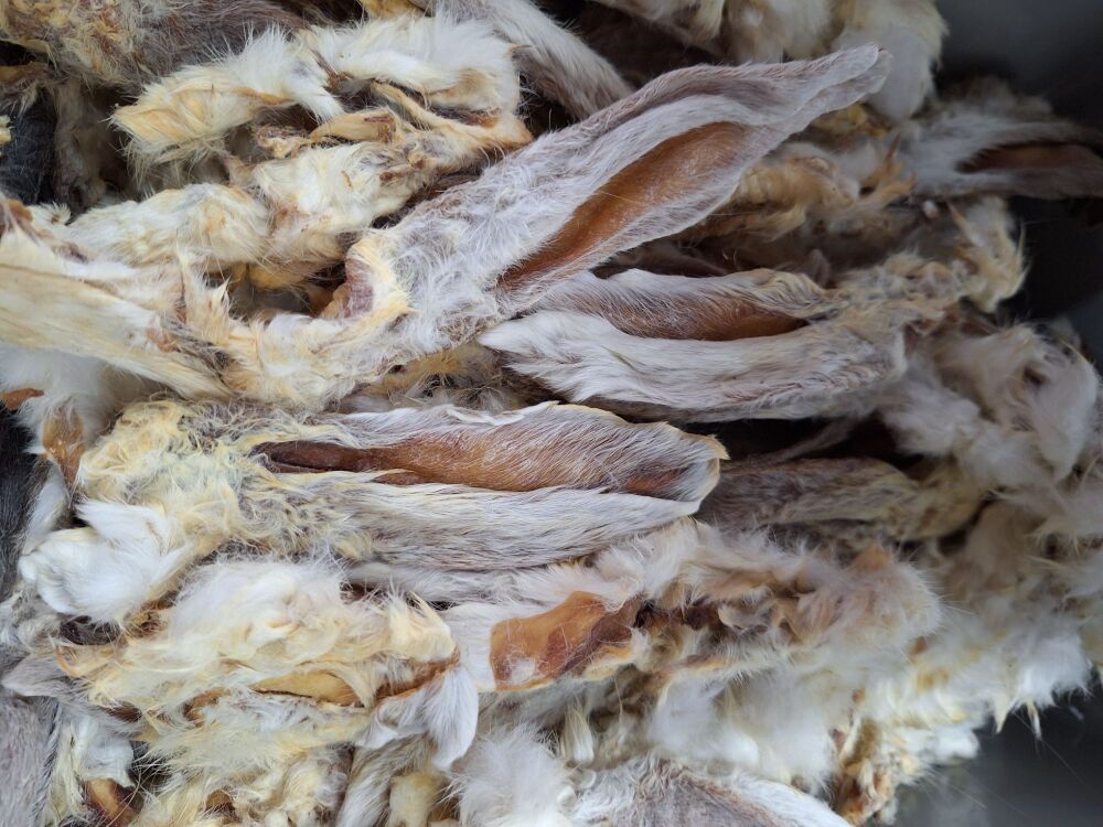 Rabbit Ears with Fur