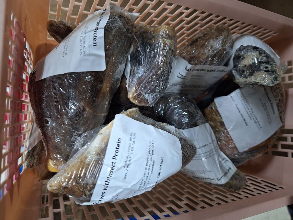 Beef Hooves with Insect Protein