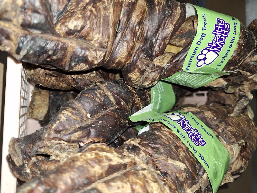 Buffalo Trachea with Lung