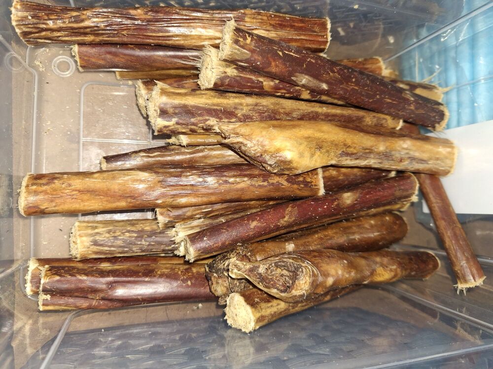 Collagen filled Gullet