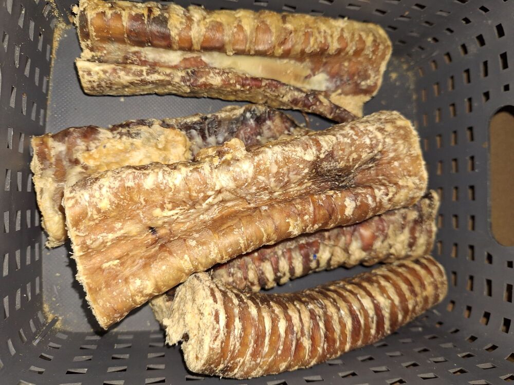 Trachea filled Collagen