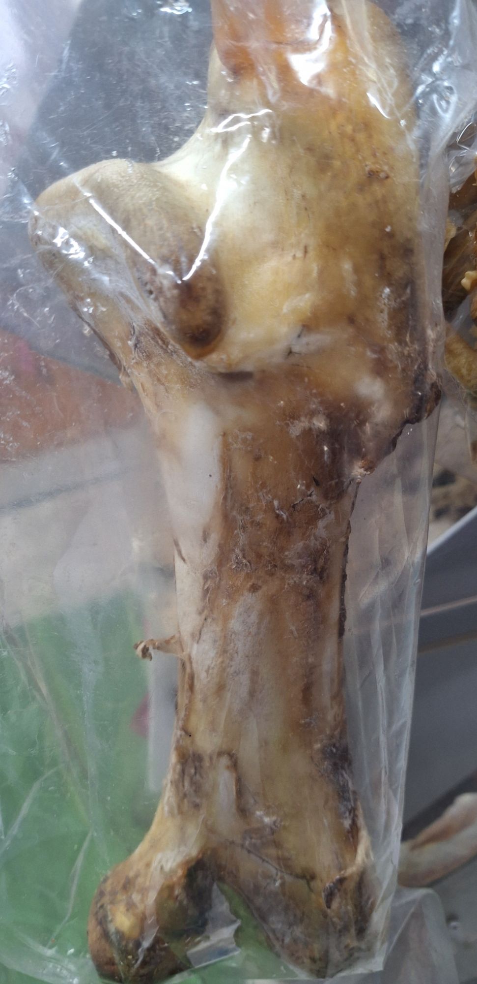 Ostrich Bone