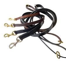 Dog Leads