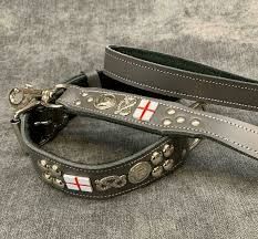 Dog Collar & Lead Set