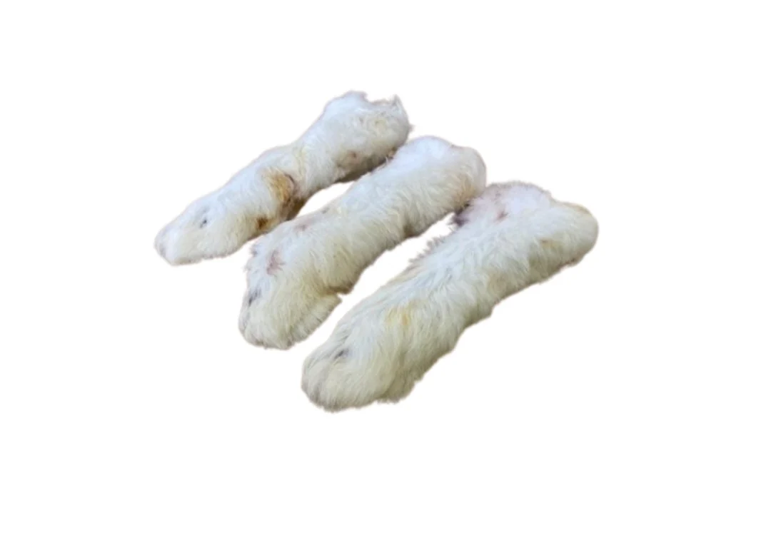Rabbit Feet