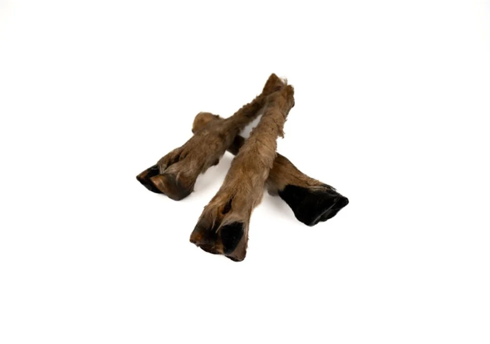 Lamb Feet with Hair