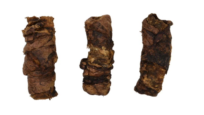 Buffalo Trachea with Lung