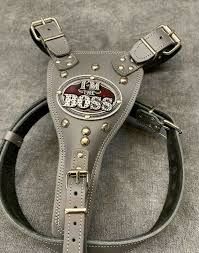 Dog Harness