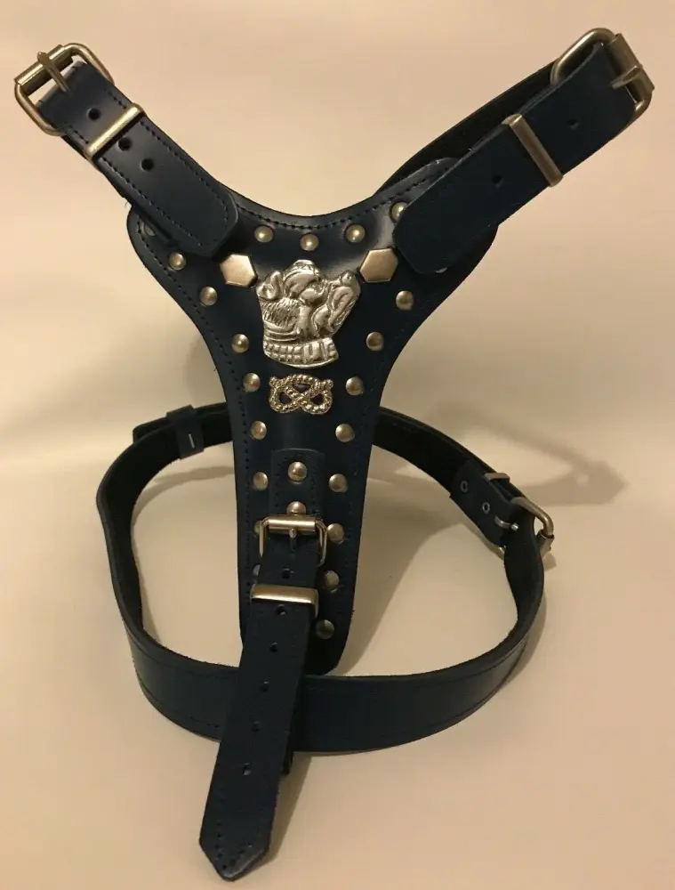 Real Leather Harness