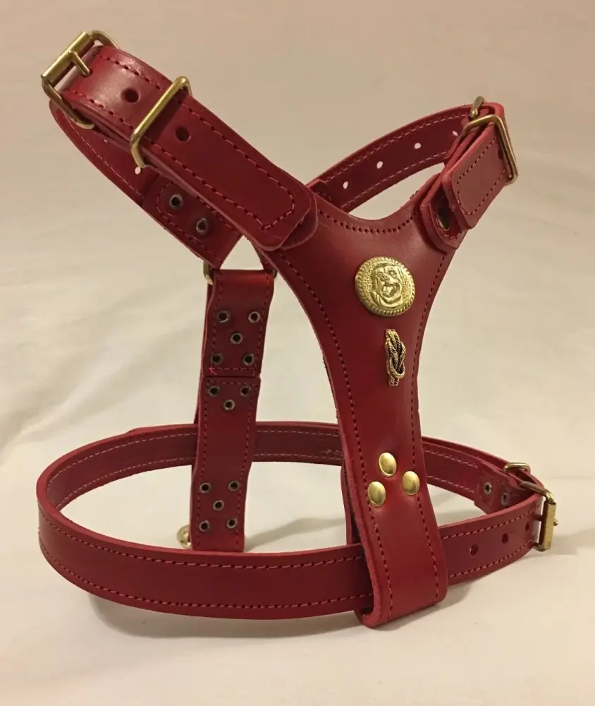 Real Leather - Dog Harness