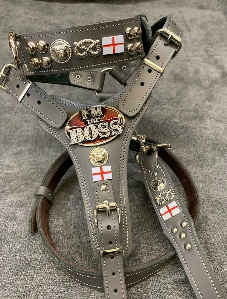 Real Leather - 3 piece set