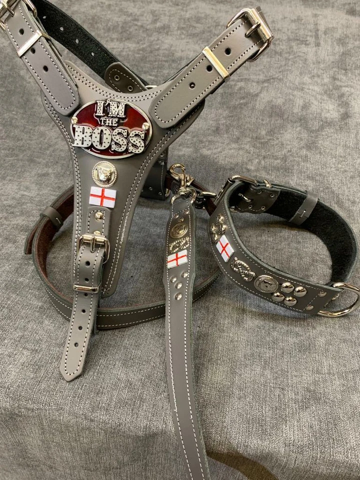 Dog Harness, Collar & Lead Set