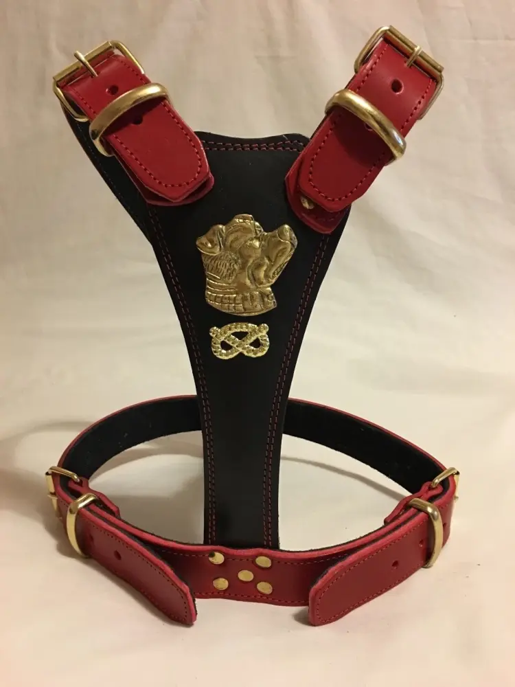 Real Leather - Harness