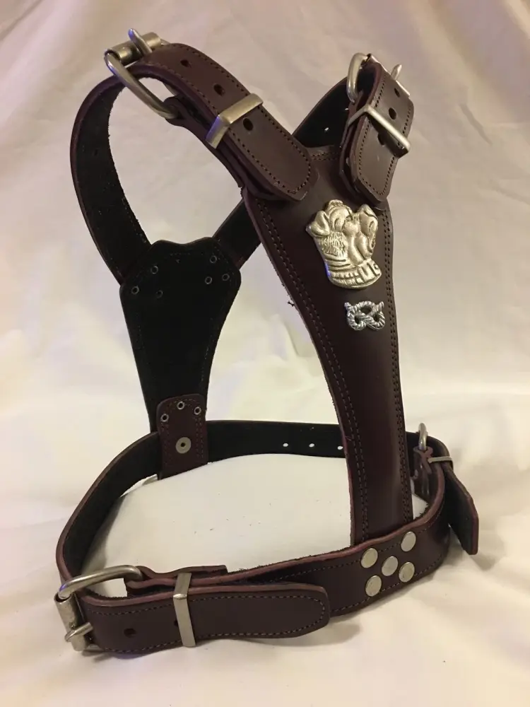 Real Leather - Harness