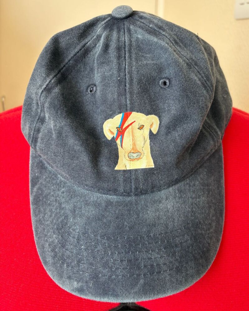Ziggy Stardog Baseball Cap - Blue