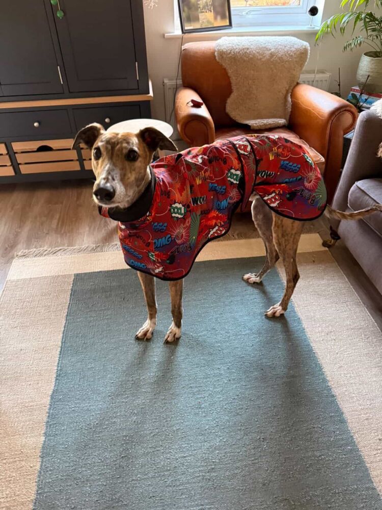 Made to Order - Comic Book Softshell Raincoat - All sizes - With or Without Harness Hole