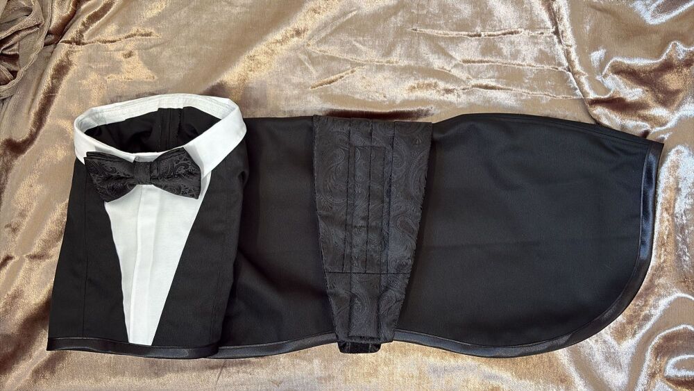 28" Black Tuxedo - Available Now