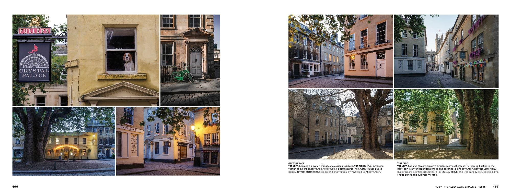 The Beauty of Bath 5