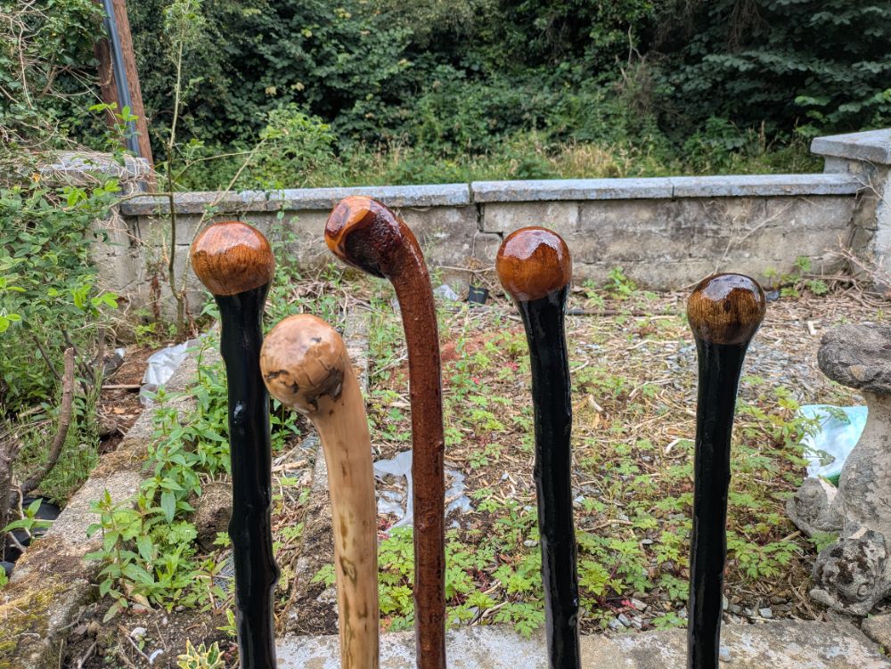 Blackthorn Walking Sticks