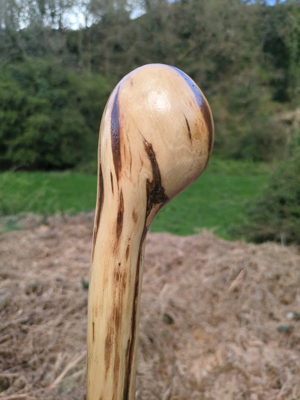 Irish Gorse Shillelagh with Root Ball Handle &ndash; Handmade Traditional Irish Walking Stick 39 Inches