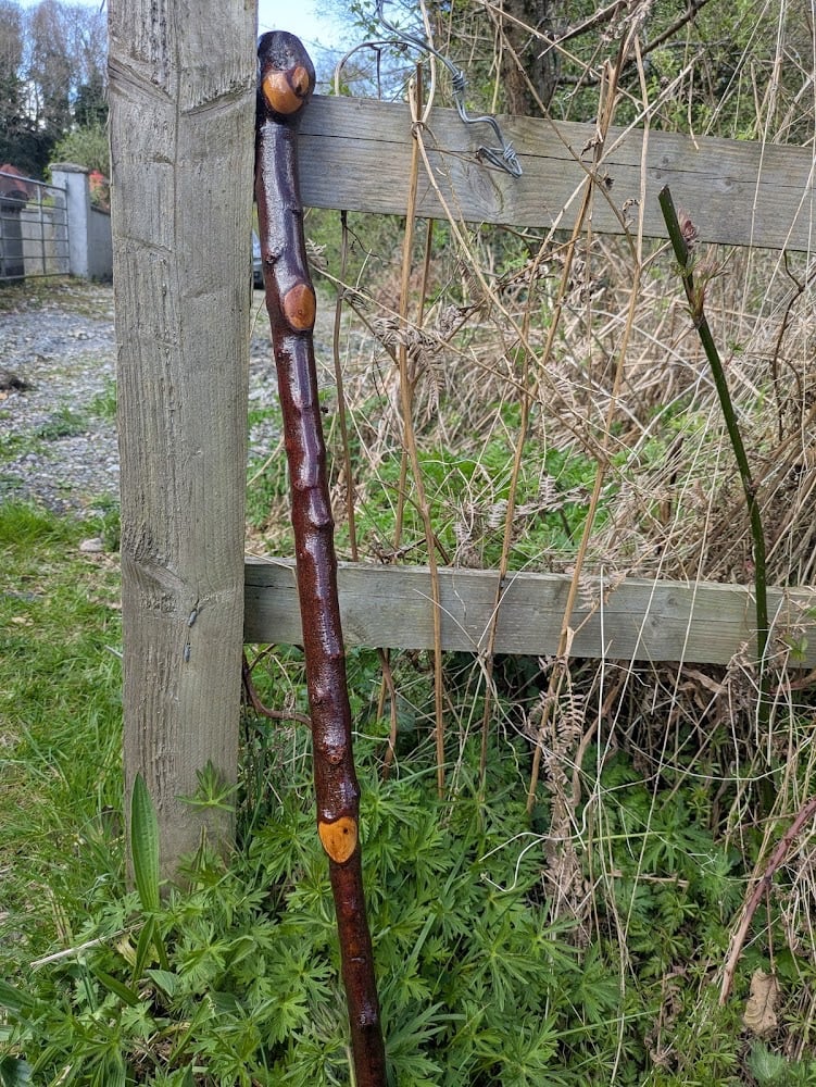 Irish Blackthorn Walking Stick 43" with 1990 One Punt Coin &ndash; Flat Top Handle