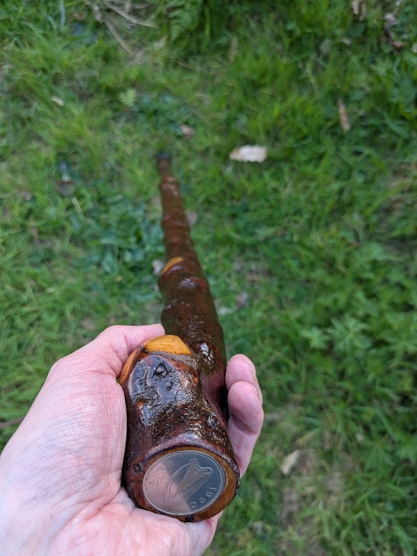 Irish Blackthorn Walking Stick 43" with 1990 One Punt Coin &ndash; Flat Top Handle