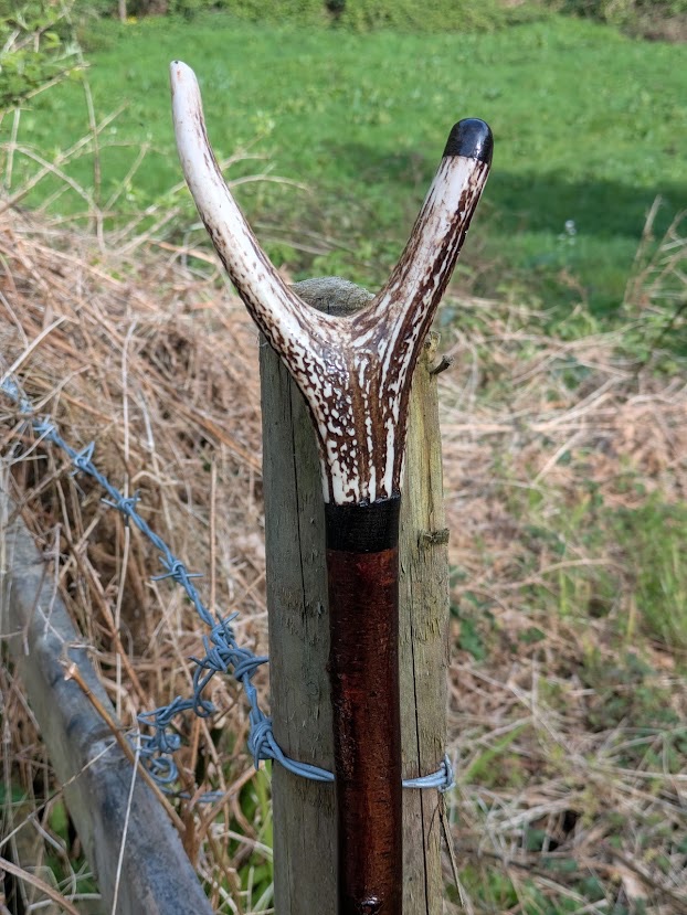Irish Blackthorn Walking Stick with Bog Oak & Deer Antler Thumb Stick &ndash; Handmade in Ireland