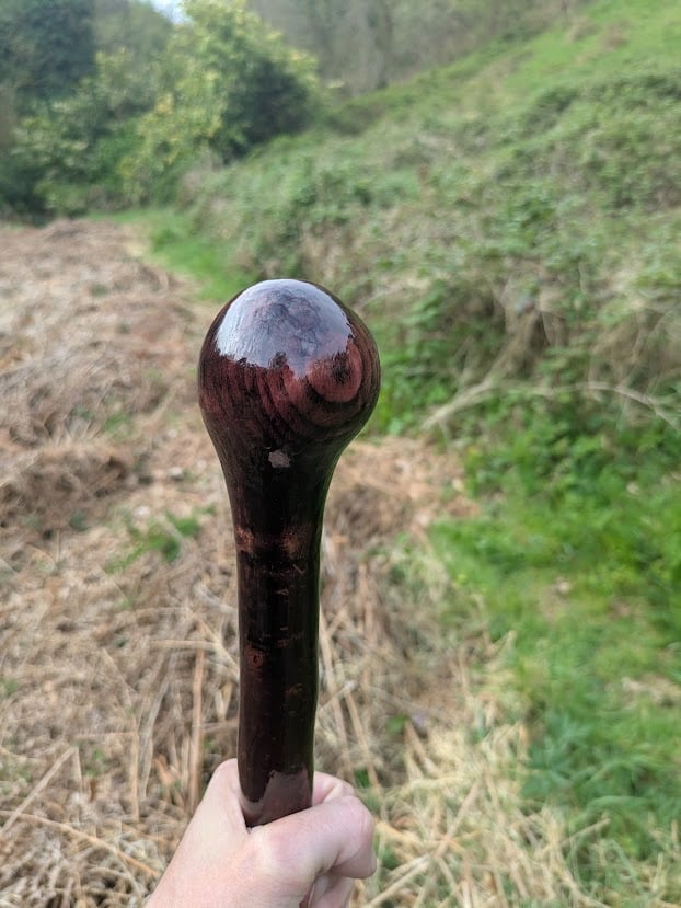 Irish Blackthorn Walking Stick with Ash Handle &ndash; Deep Purple Finish