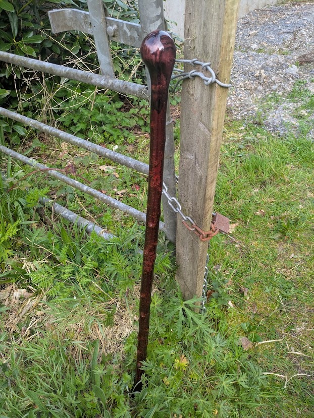 Irish Blackthorn Walking Stick with Ash Handle &ndash; Deep Purple Finish