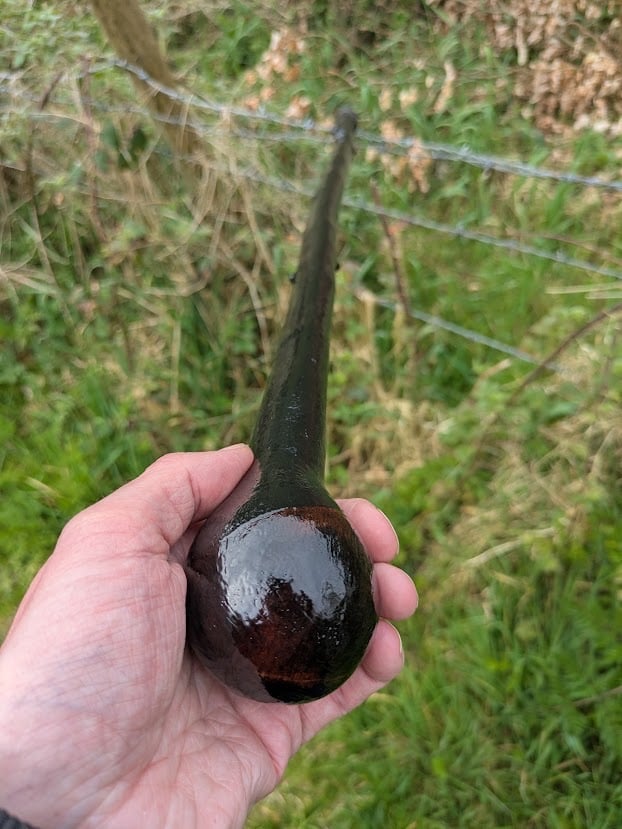 Little Irish Blackthorn Walking Stick &ndash; Oval Shape &ndash; From Our Druid Range