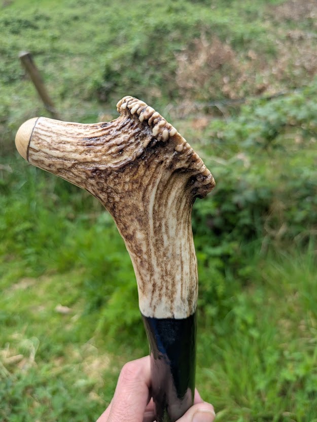 antler-topper-on-blackthorn