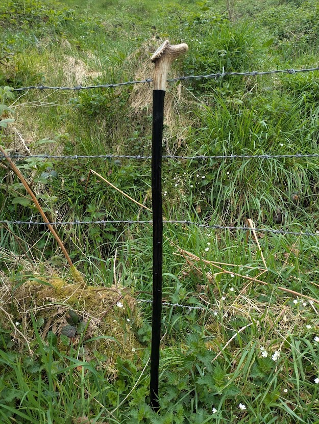 blackthorn-walking-stick-antler-topper
