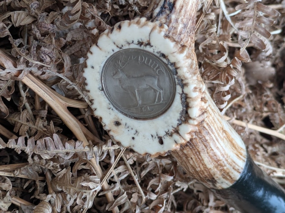 irish-punt-coin-in-antler-topper