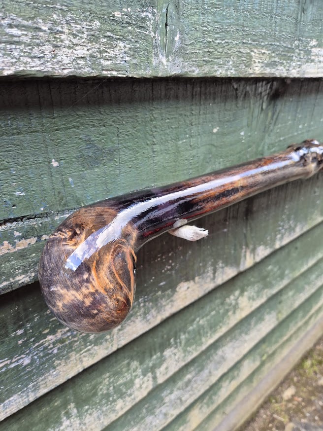 Irish holly shillelagh style walking stick the ash burl handle