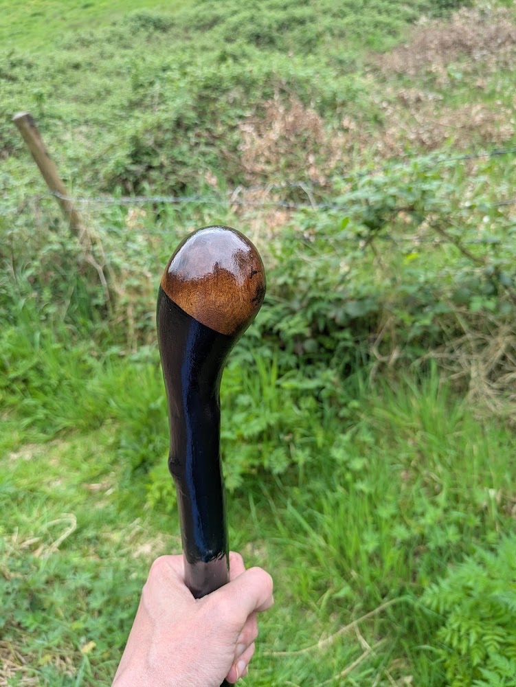 irish-heavy-blackthorn