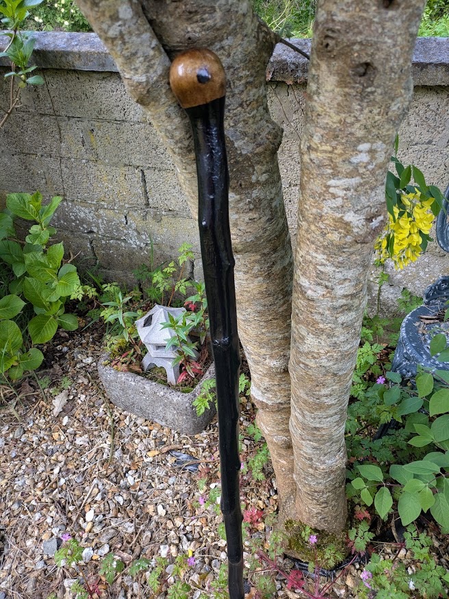 blackthron-traditional-walking-stick