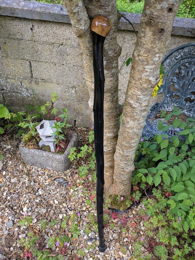 blackthorn-walking-stick-cane