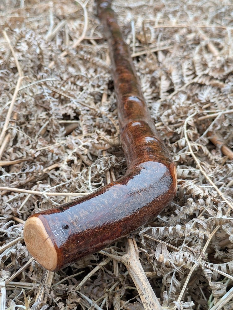 Irish Blackthorn Walking Stick &ndash; L-Shaped Handle (41 inches, 740g)
