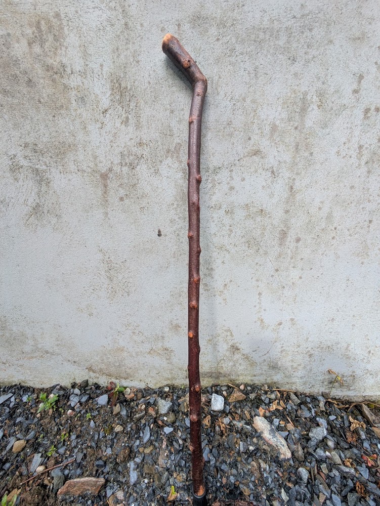 Irish Blackthorn Walking Stick &ndash; L-Shaped Handle (38 inches, 394g)
